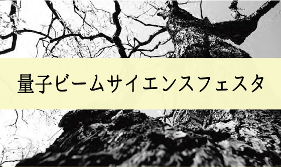 2019年度量子ビームサイエンスフェスタ